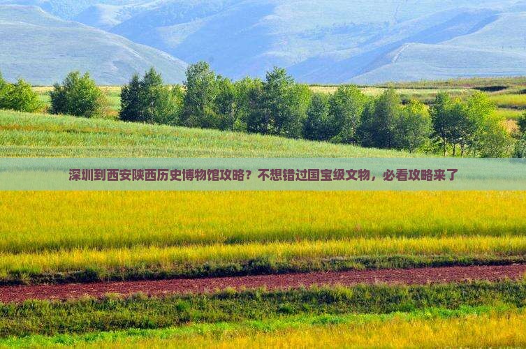深圳到西安陕西历史博物馆攻略？不想错过国宝级文物，必看攻略来了