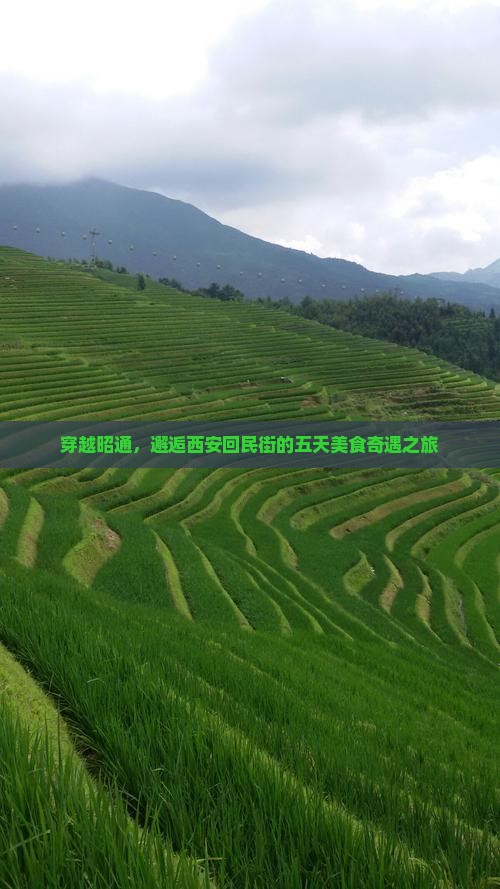穿越昭通，邂逅西安回民街的五天美食奇遇之旅