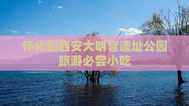 怀化到西安大明宫遗址公园旅游必尝小吃