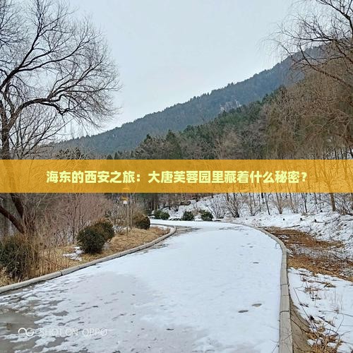 海东的西安之旅：大唐芙蓉园里藏着什么秘密？