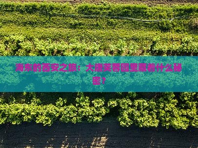 海东的西安之旅：大唐芙蓉园里藏着什么秘密？