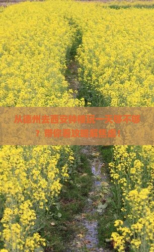 从德州去西安钟楼玩一天够不够？带你看攻略解焦虑！