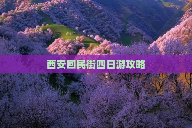 西安回民街四日游攻略