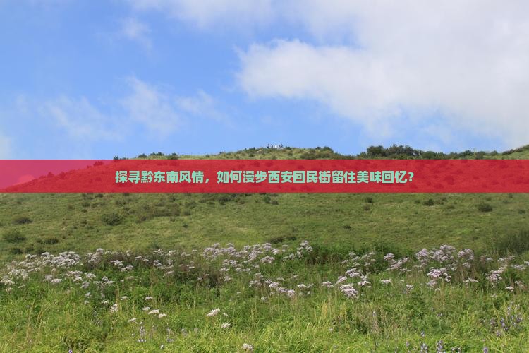探寻黔东南风情，如何漫步西安回民街留住美味回忆？