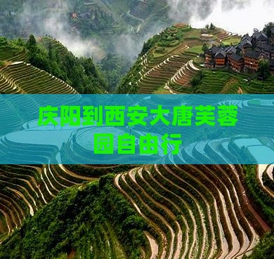 庆阳到西安大唐芙蓉园自由行