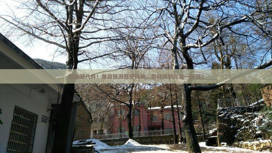独自闯八月！单身族游西安钟楼，怎样规划完美一日游？
