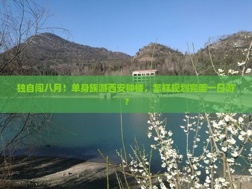 独自闯八月！单身族游西安钟楼，怎样规划完美一日游？