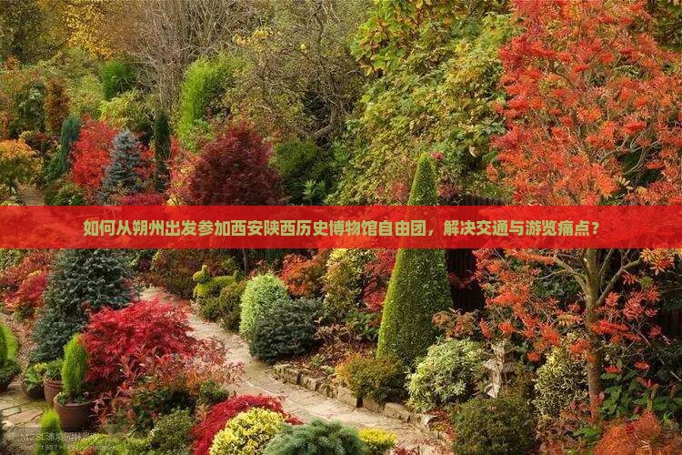 如何从朔州出发参加西安陕西历史博物馆自由团，解决交通与游览痛点？