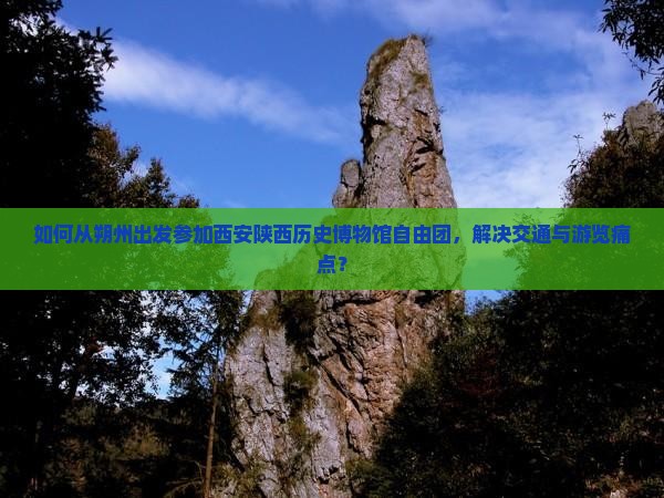 如何从朔州出发参加西安陕西历史博物馆自由团，解决交通与游览痛点？