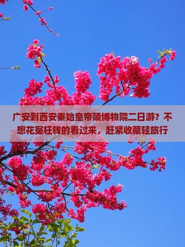 广安到西安秦始皇帝陵博物院二日游？不想花冤枉钱的看过来，赶紧收藏轻旅行