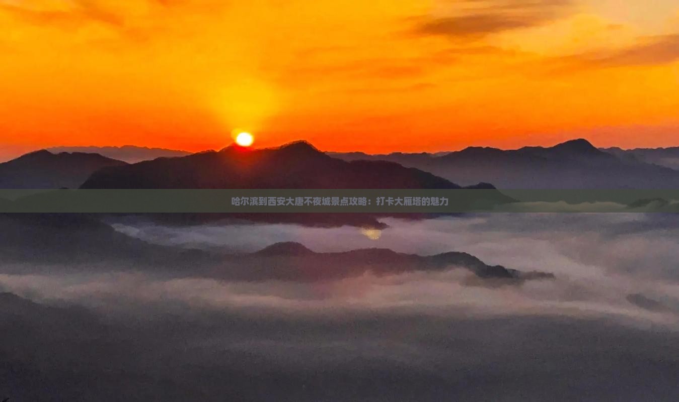 哈尔滨到西安大唐不夜城景点攻略：打卡大雁塔的魅力