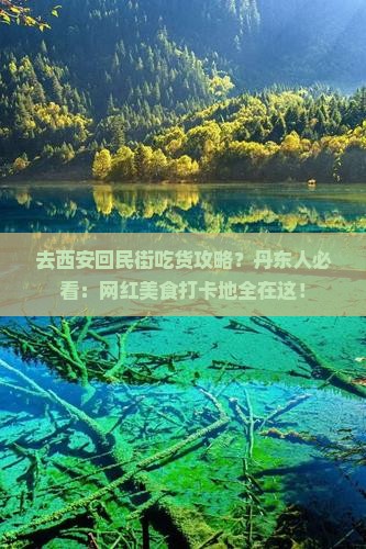 去西安回民街吃货攻略？丹东人必看：网红美食打卡地全在这！
