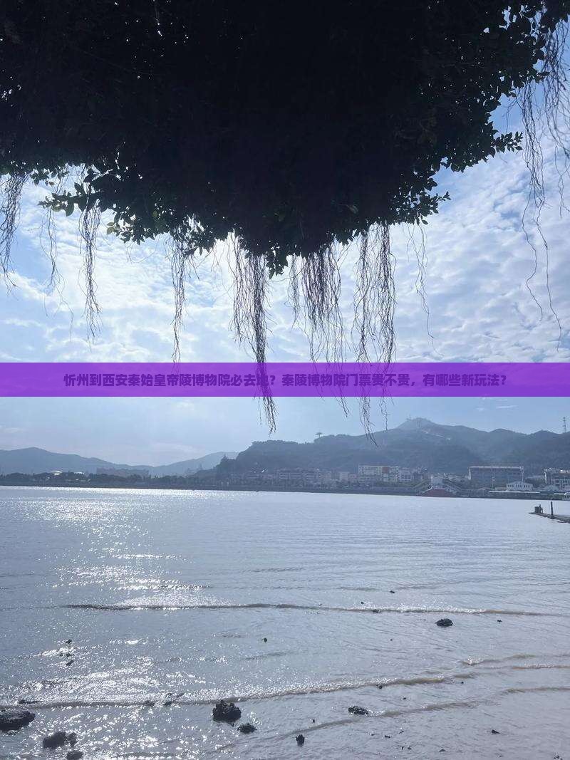 忻州到西安秦始皇帝陵博物院必去地？秦陵博物院门票贵不贵，有哪些新玩法？