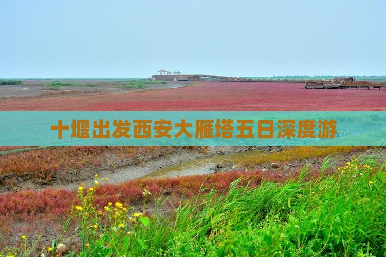 十堰出发西安大雁塔五日深度游