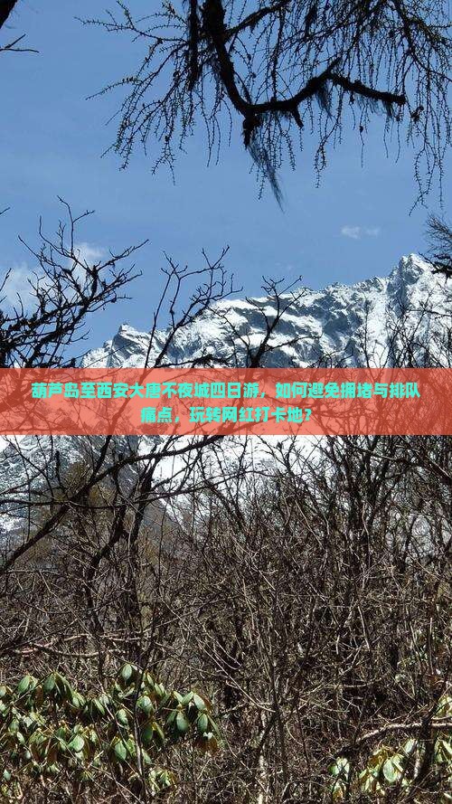 葫芦岛至西安大唐不夜城四日游，如何避免拥堵与排队痛点，玩转网红打卡地？