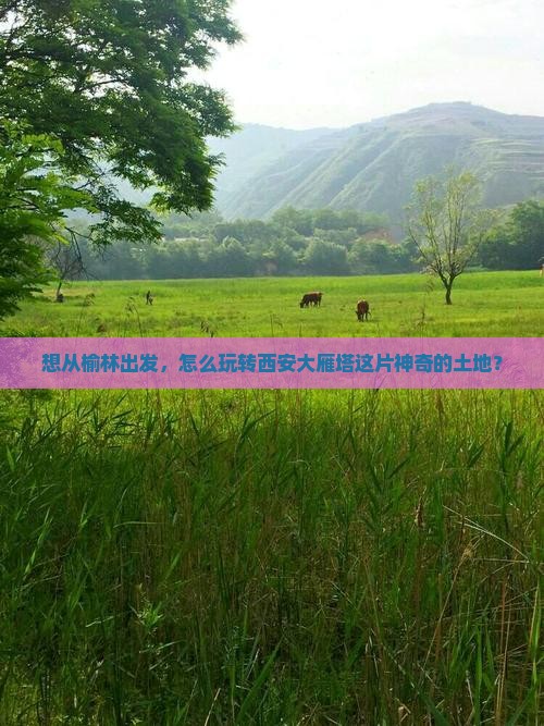 想从榆林出发，怎么玩转西安大雁塔这片神奇的土地？