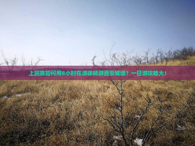 上班族如何用8小时在清徐畅游西安城墙？一日游攻略大！