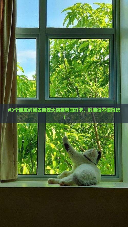 #3个朋友约我去西安大唐芙蓉园打卡，到底值不值得玩？