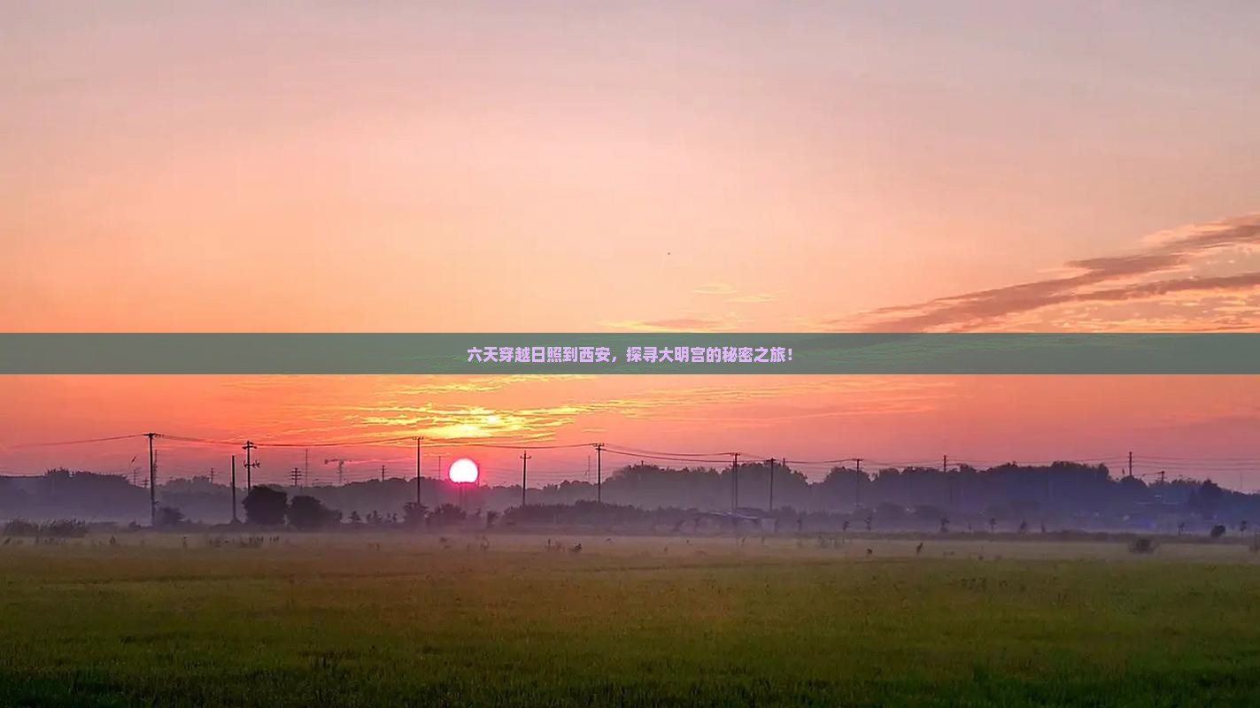 六天穿越日照到西安，探寻大明宫的秘密之旅！