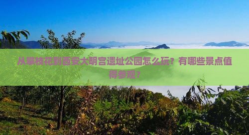 从攀枝花到西安大明宫遗址公园怎么玩？有哪些景点值得参观？