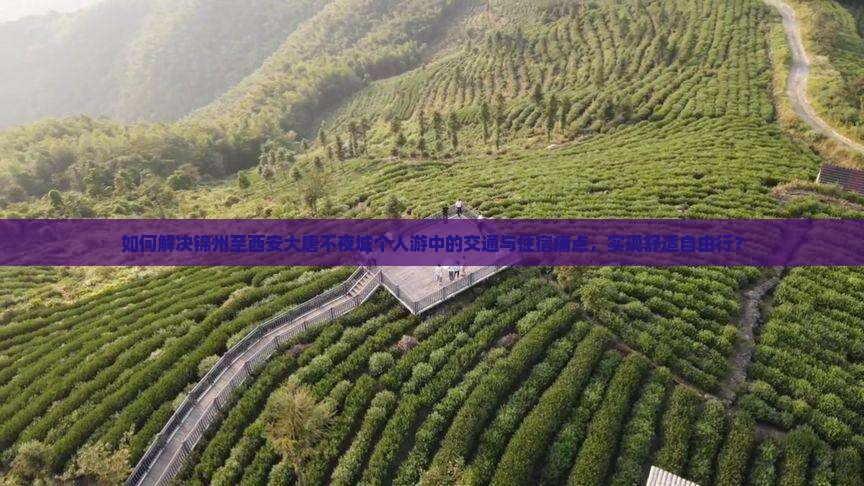 如何解决锦州至西安大唐不夜城个人游中的交通与住宿痛点，实现舒适自由行？