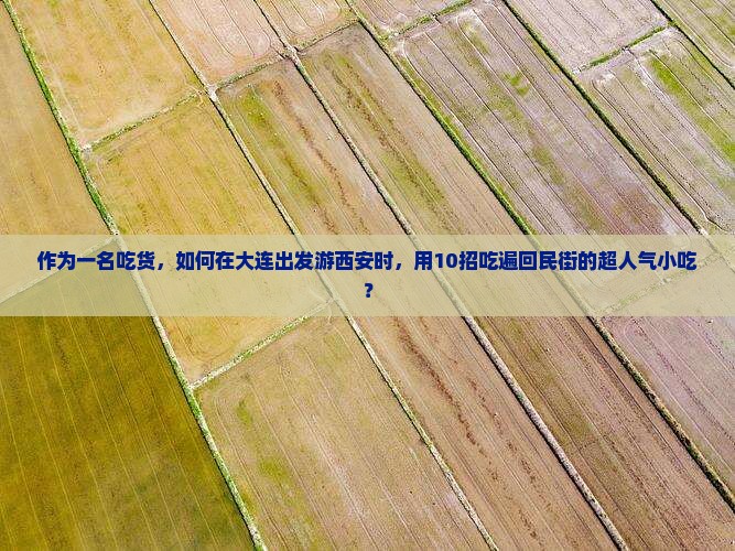 作为一名吃货，如何在大连出发游西安时，用10招吃遍回民街的超人气小吃？