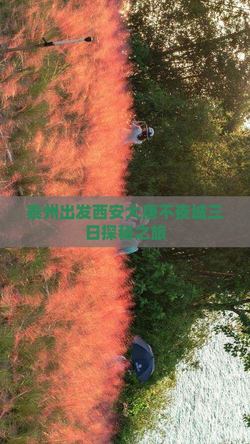 泰州出发西安大唐不夜城三日探秘之旅