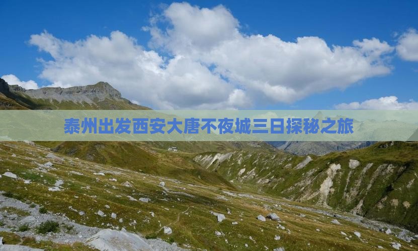 泰州出发西安大唐不夜城三日探秘之旅