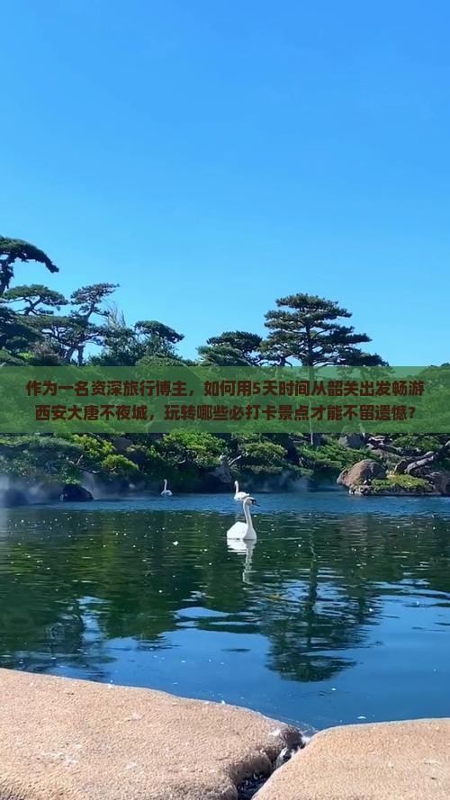 作为一名资深旅行博主，如何用5天时间从韶关出发畅游西安大唐不夜城，玩转哪些必打卡景点才能不留遗憾？