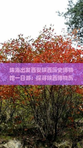 珠海出发西安陕西历史博物馆一日游：探寻陕西博物历史之旅