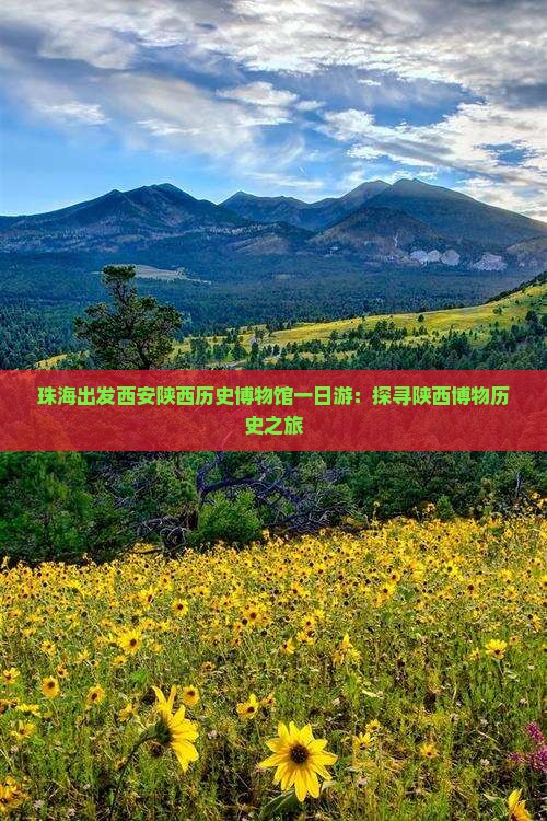 珠海出发西安陕西历史博物馆一日游：探寻陕西博物历史之旅