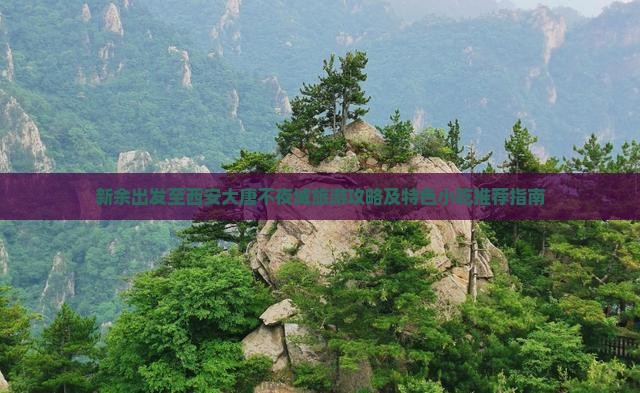 新余出发至西安大唐不夜城旅游攻略及特色小吃推荐指南