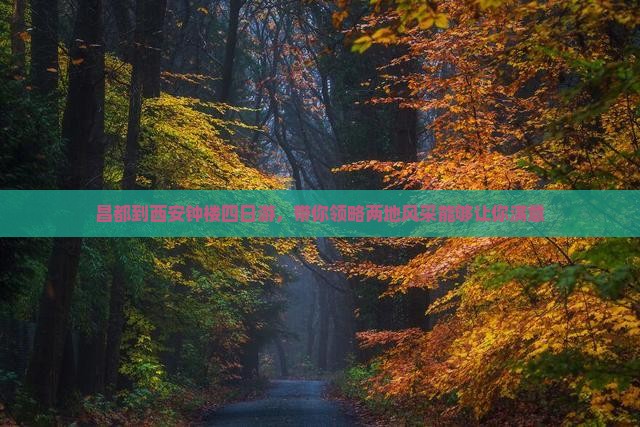 昌都到西安钟楼四日游，带你领略两地风采能够让你满意