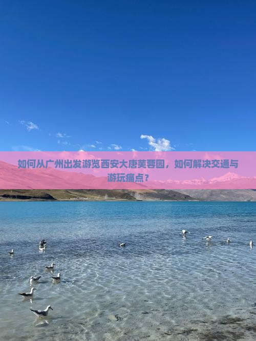 如何从广州出发游览西安大唐芙蓉园，如何解决交通与游玩痛点？