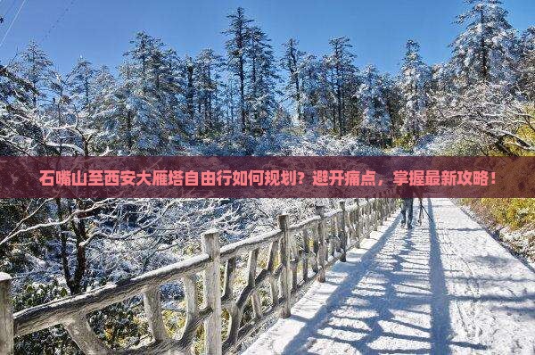 石嘴山至西安大雁塔自由行如何规划？避开痛点，掌握最新攻略！