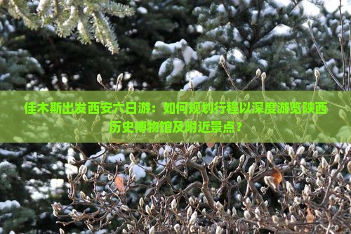 佳木斯出发西安六日游：如何规划行程以深度游览陕西历史博物馆及附近景点？