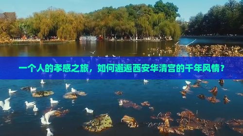 一个人的孝感之旅，如何邂逅西安华清宫的千年风情？