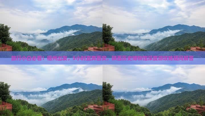 旅行小白必看！梧州出发，5小时直奔西安，陕西历史博物馆深度游攻略疑问解答