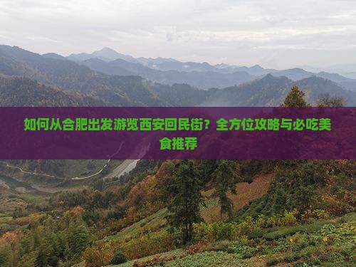 如何从合肥出发游览西安回民街？全方位攻略与必吃美食推荐