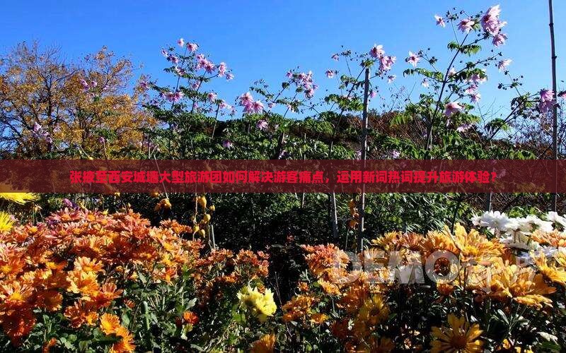 张掖至西安城墙大型旅游团如何解决游客痛点，运用新词热词提升旅游体验？