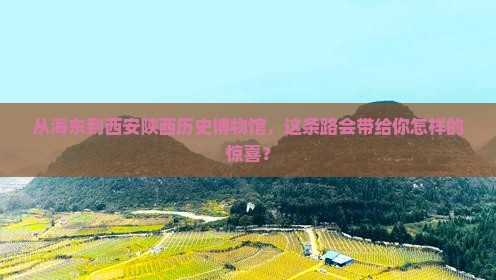 从海东到西安陕西历史博物馆，这条路会带给你怎样的惊喜？