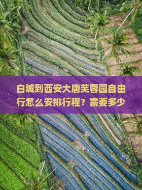 白城到西安大唐芙蓉园自由行怎么安排行程？需要多少钱？有哪些注意事项？
