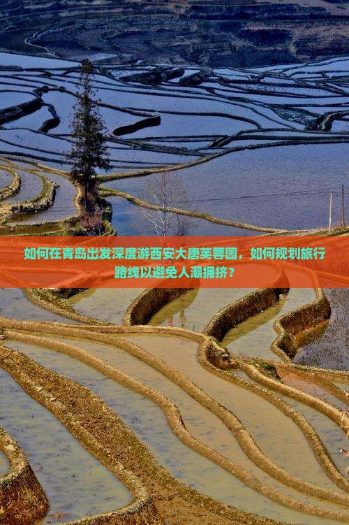 如何在青岛出发深度游西安大唐芙蓉园，如何规划旅行路线以避免人潮拥挤？