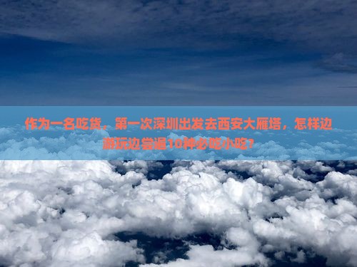 作为一名吃货，第一次深圳出发去西安大雁塔，怎样边游玩边尝遍10种必吃小吃？
