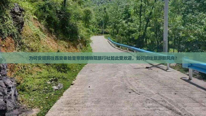 为何安顺前往西安秦始皇帝陵博物院旅行社如此受欢迎，如何抓住旅游新风向？