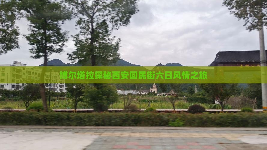 博尔塔拉探秘西安回民街六日风情之旅