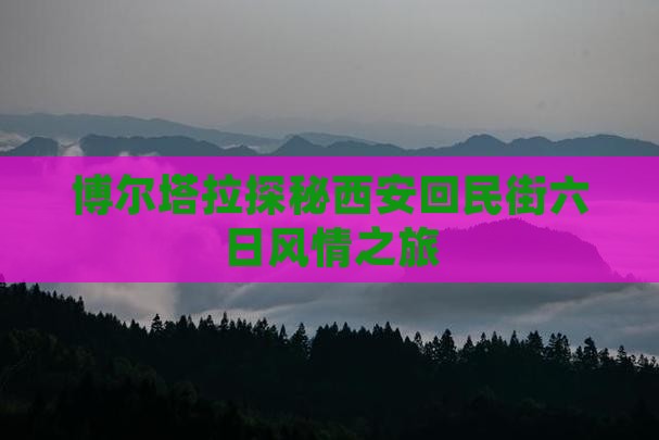 博尔塔拉探秘西安回民街六日风情之旅