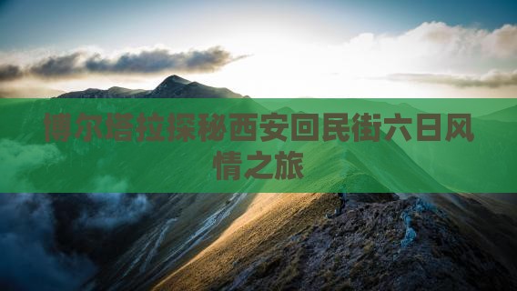 博尔塔拉探秘西安回民街六日风情之旅