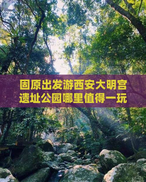 固原出发游西安大明宫遗址公园哪里值得一玩