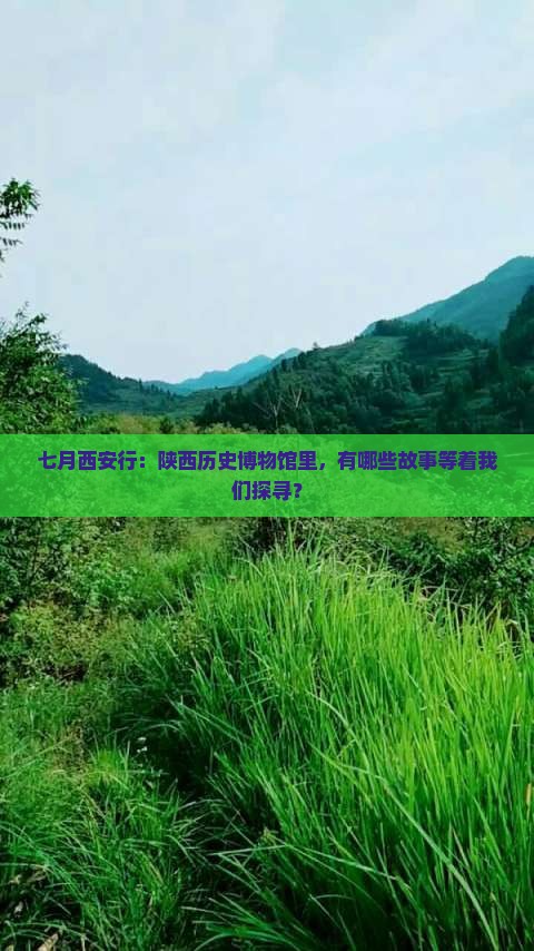 七月西安行：陕西历史博物馆里，有哪些故事等着我们探寻？